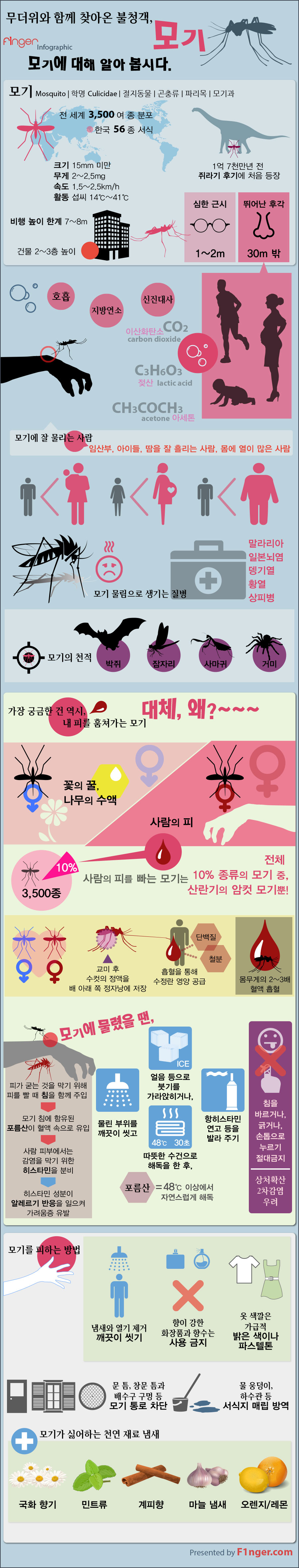 mosquito-infographic-by-F1nger